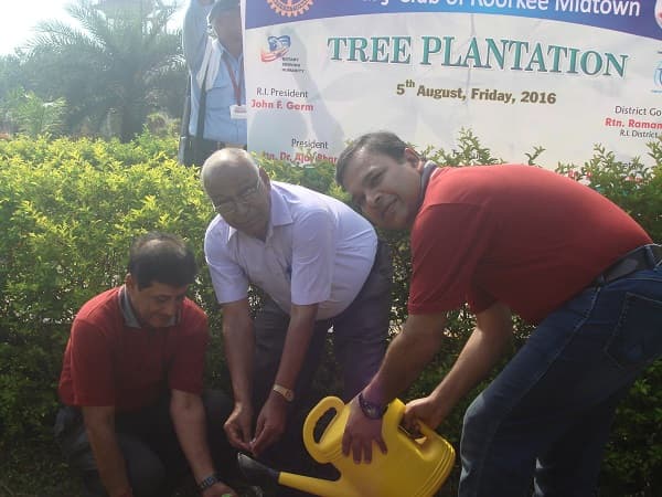Faculty and students watering newly planted trees