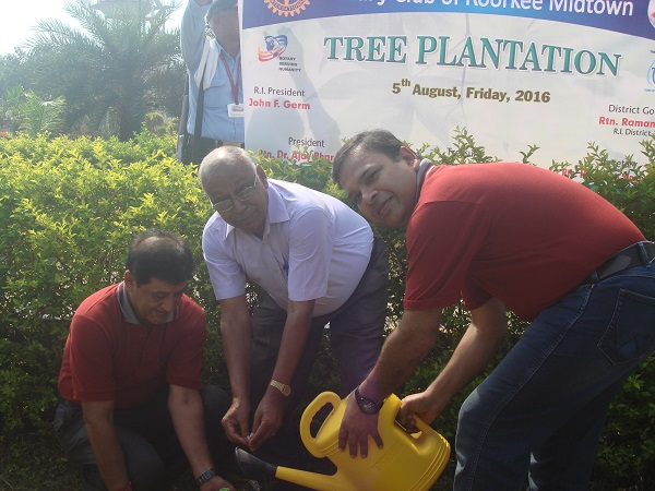 Faculty and students watering newly planted trees